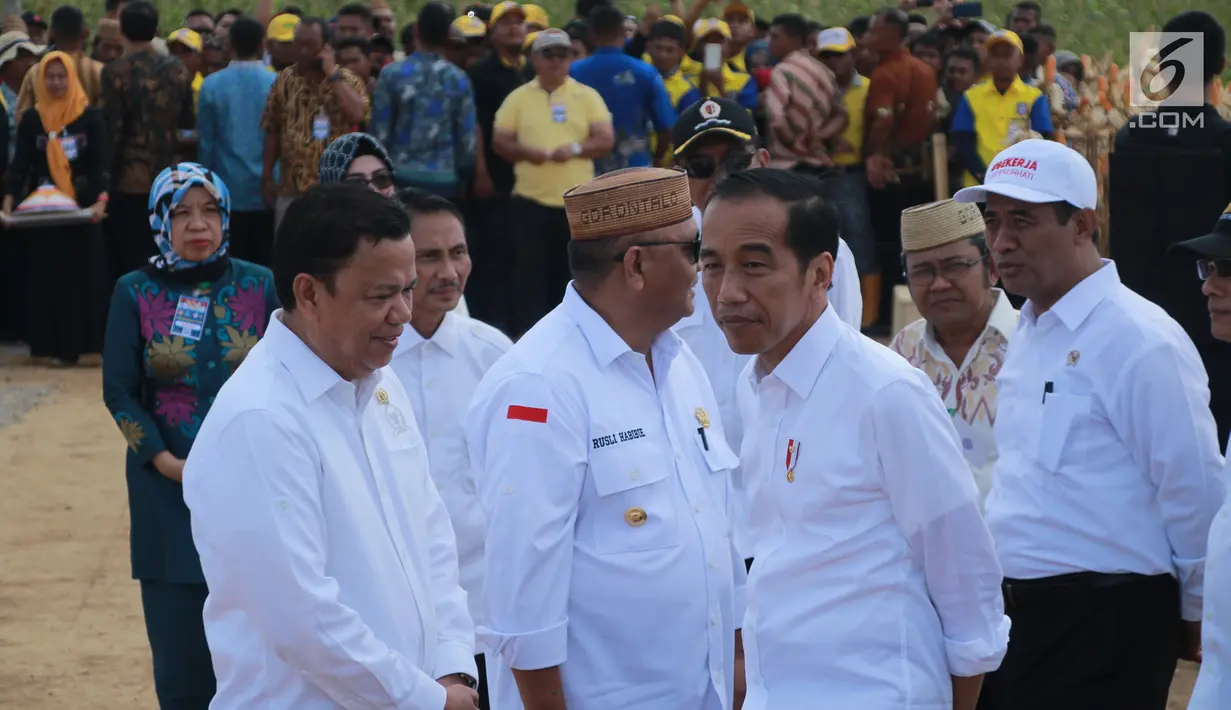 Presiden Joko Widodo (Jokowi) melakukan panen raya jagung di Desa Botuwombato, Kabupaten Gorontalo Utara, Jumat (1/3). Pada kesempatan itu juga, Jokowi menyempatkan diri untuk berdialog dengan beberapa petani jagung. (Liputan6.com/Arfandi Ibrahim)