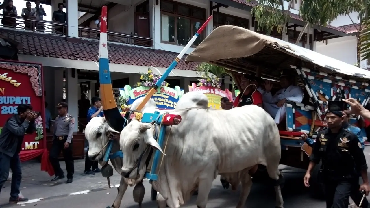 Pasca-Pelantikan, 11 Bajingan Kawal Bupati Bantul 