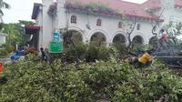 Dua buruh harian tertimpa pohon tumbang di PN Makassar (Liputan6.com/Fauzan)
