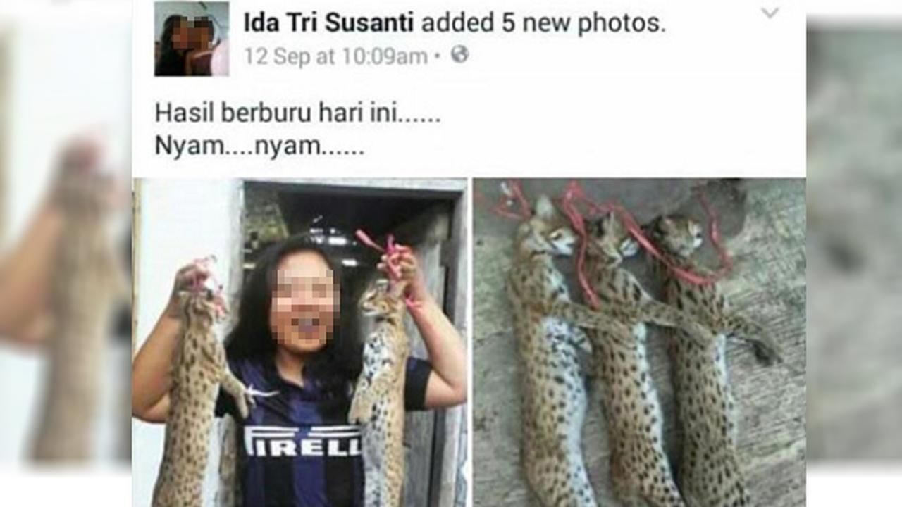 Pembantaian Kucing Hutan, Dua Remaja Banjir Kecaman di Socmed