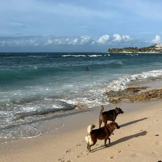 Liburan ke Bali