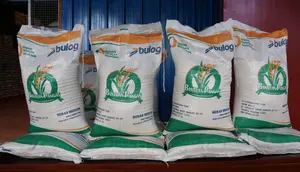 Bansos Beras 30 Kg Mulai Disebar 17 Agustus 2026