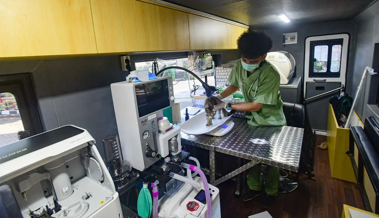 Dokter hewan memeriksa kucing peliharaan warga pada mobil Klinik Hewan Keliling di halaman Kantor Kelurahan Srengseng sawah, Jakarta Selatan, Rabu, 15/ Juli 2026. (KLY/ Arie Basuki)