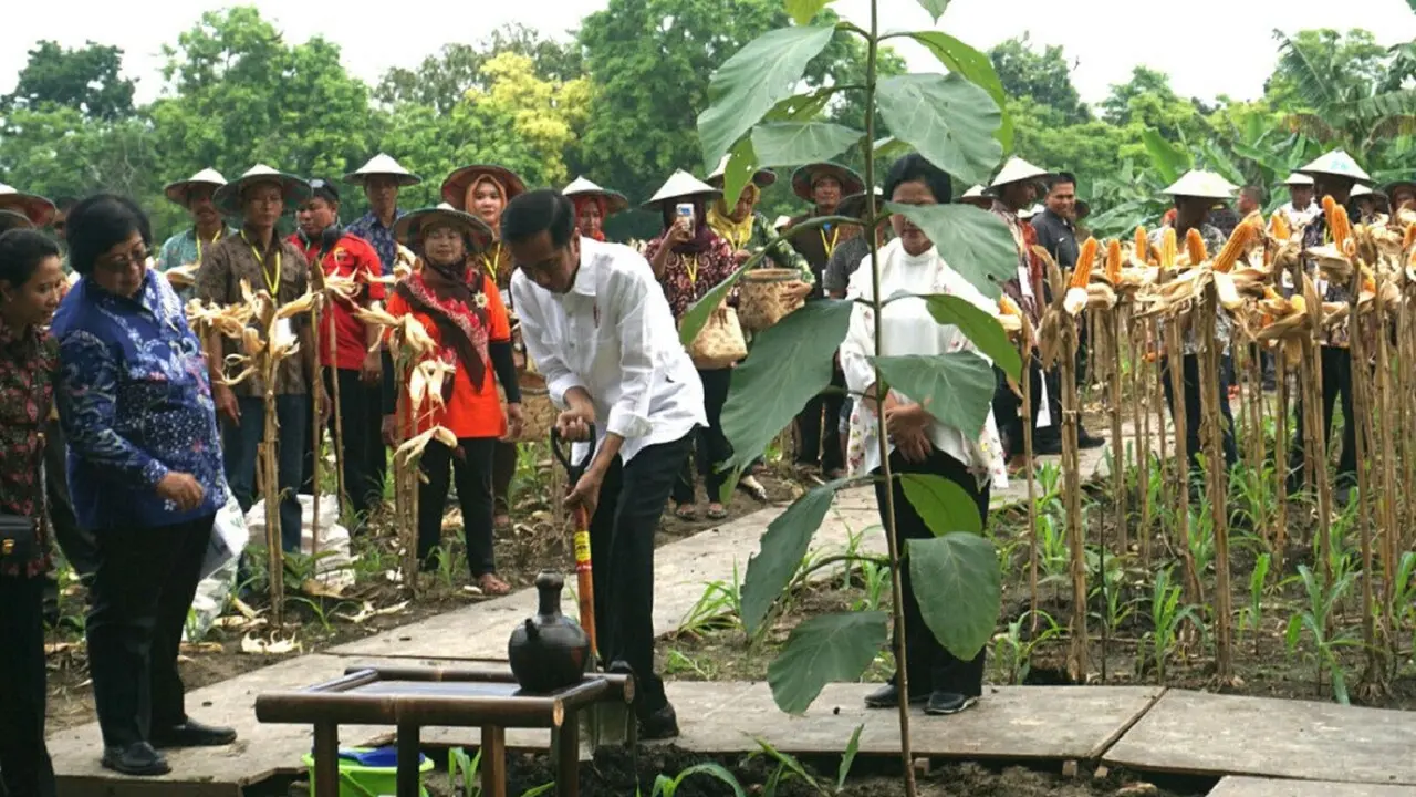 KUR BNI Sentuh 2.381 Petani Penggarap Lahan Hutan Perhutanan Sosial (Sumber foto: BNI)