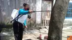 Citizen6, Jambi: Petugas menyemprotkan disinfectant kepohon yang terdapat ulat bulu, kini mewabah di Desa Pematang Lumut Kecamatan Betara Kabupaten Tanjung Jabung Barat. (Pengirim: Alfatih Aulia)
