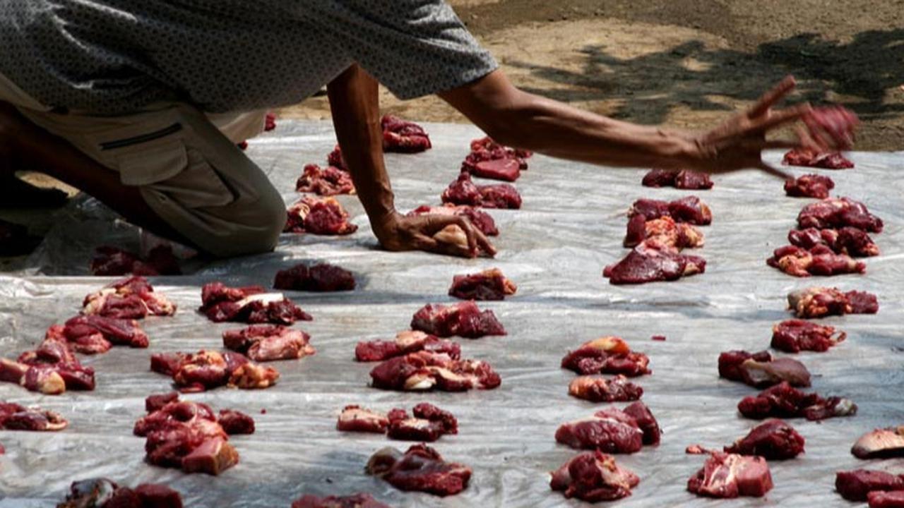 Ternyata Ini yang Bisa Pengaruhi Kualitas Daging Hewan Kurban, dari Penurunan Kualitas hingga Daya Simpan Daging