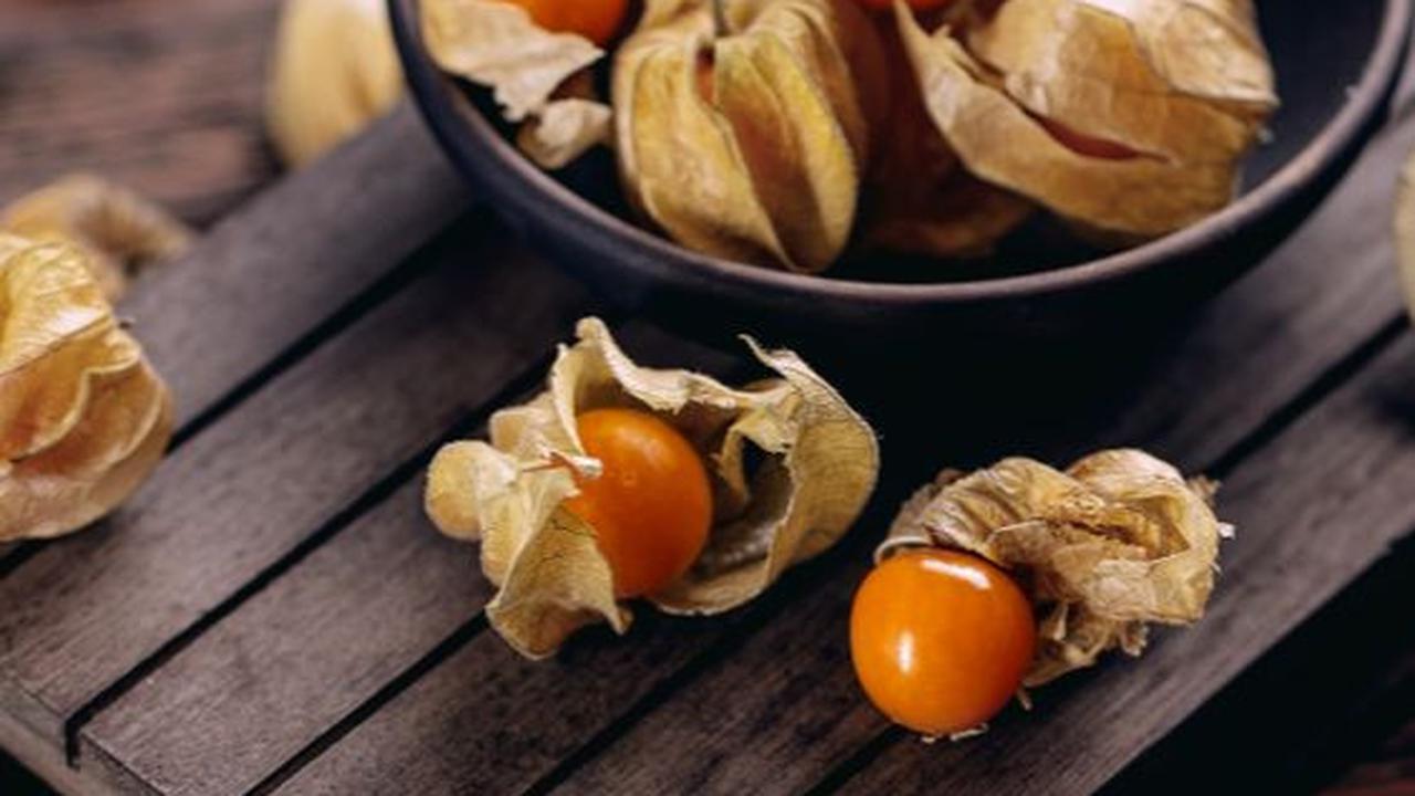 Sering Terlihat di Supermarket, Buah Ciplukan Ternyata Banyak Khasiatnya
