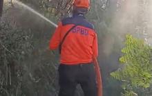 Kawah Ijen Ditutup Sementara Imbas Kebakaran Hutan