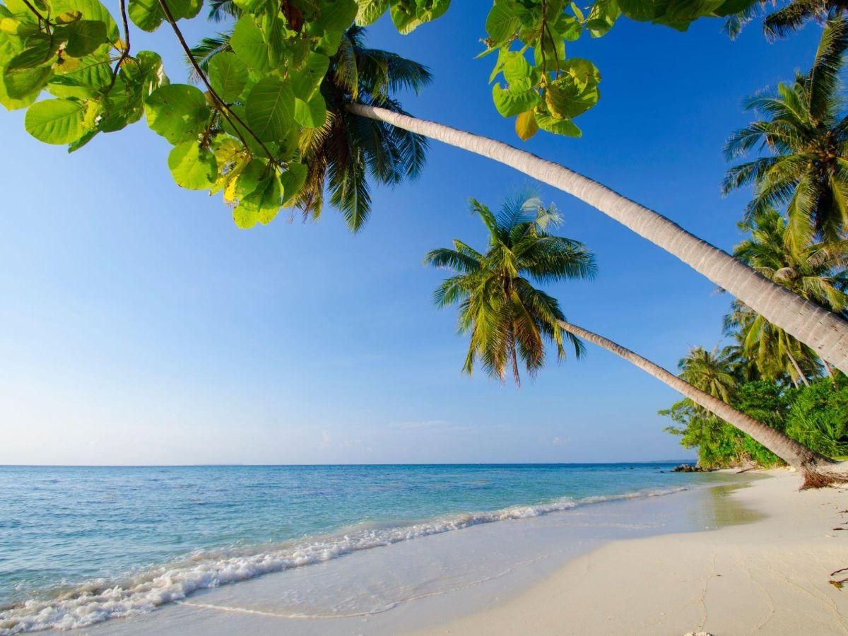 Paket Wisata Karimun Jawa: 2 Hari 1 Malam