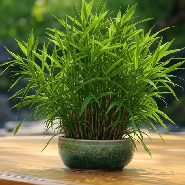 Bambu Rezeki