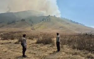 Kebakaran Gunung Bromo Meluas hingga ke Jemplang Malang