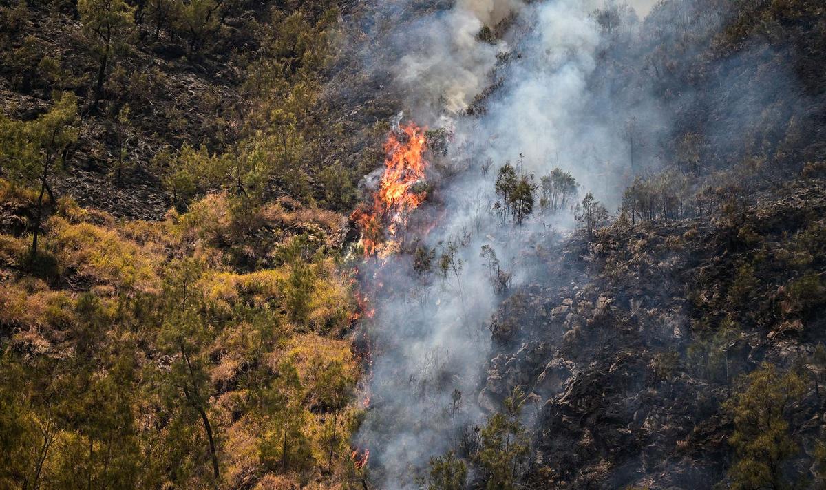 Pemadaman Terus Dilakukan Cegah Api Meluas di Gunung Bromo