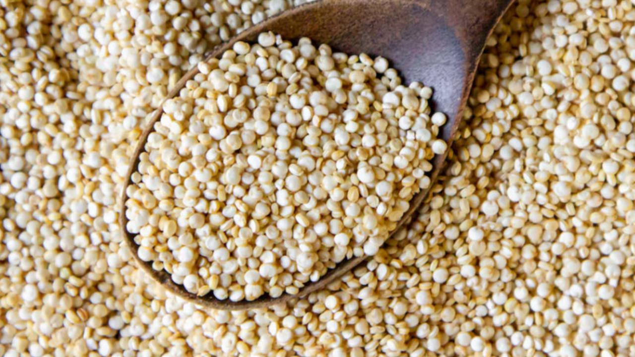 quinoa