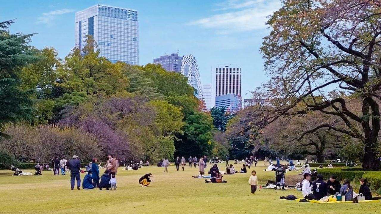 1. Taman Nasional yang Membentang dari Shibuya sampai Shinjuku