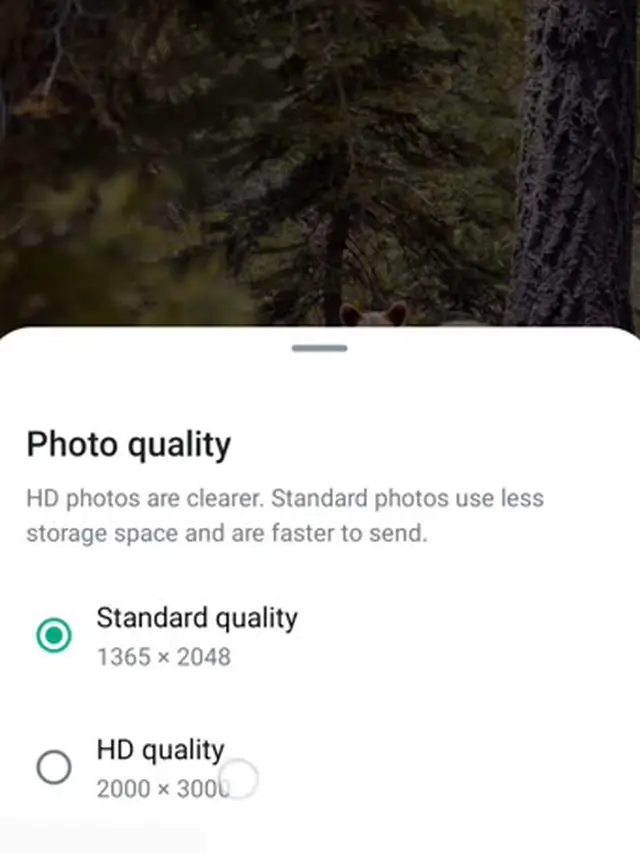 Tampilan opsi kirim foto berkualitas HD di aplikasi WhatsApp (Tangkapan layar Facebook Mark Zuckerberg)