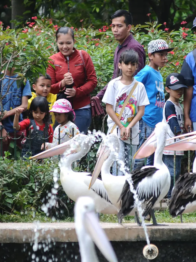 Kebun Binatang Ragunan