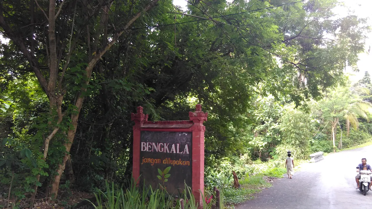Kisah Kampung Bisu Tuli di Bali yang Melek Internet