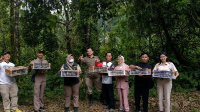 Karantina Ketapang Gagalkan Penyelundupan Burung Liar, Ratusan Ekor Diselamatkan