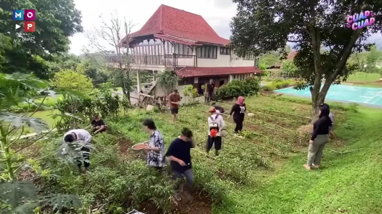 Panen Cabai yang Segar, Ruben Onsu Kini Jajal Berkebun