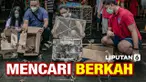 thumbnail lepas burung