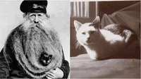 Potret kucing di foto sejarah era revolusi, hewan favorit sedari dulu. (Sumber: Instagram/victorianchaps / Twitter/potretlawas)