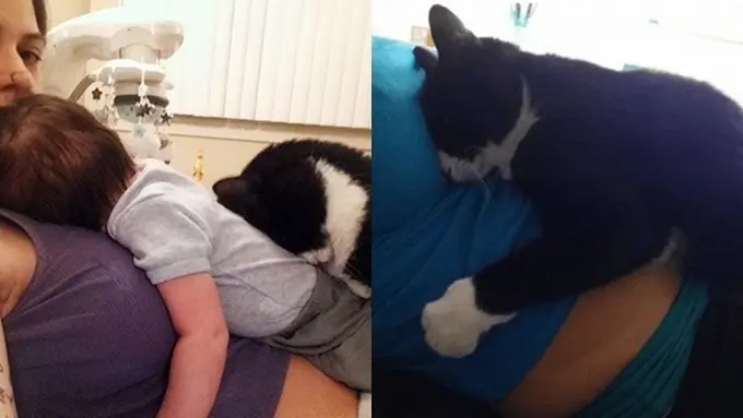 Photo: Copyright distractify.com