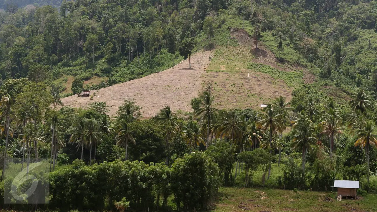 20160911 Mengintip Pembalakan Liar Yang Marak di Hutan Popayato Gorontalo