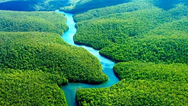 Hutan Hujan Amazon