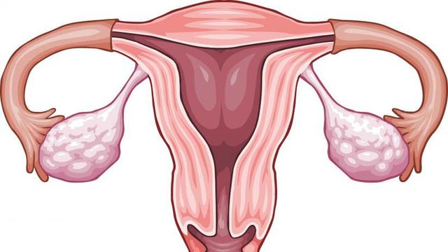 Saat Sel Telur Berukuran Kecil Dan Sulit Dibuahi Health Liputan6 Com