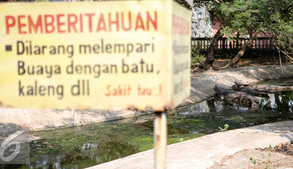 Sebuah papan pengumuman terpampang di Taman Buaya Indonesia Jaya (TBIJ), Jawa Barat, Minggu (26/7/2015). Taman Buaya Cikarang merupakan salah satu penangkaran terbesar di Asia bahkan dunia. (Liputan6.com/Faizal Fanani)
