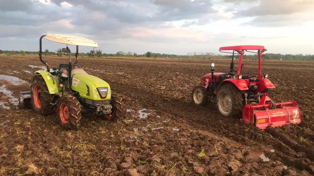 Benih Dan Alsintan Tersedia Lahan Food Estate Di Pulang Pisau Segera Digarap Bisnis Liputan6 Com