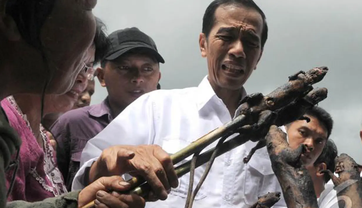 Kayaknya Pak Jokowi ngeri tuh makan Tikus Panggang Manado (Liputan6.com)
