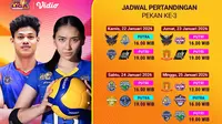 Simak Jadwal Live Streaming Proliga Pekan Ke-3, Tayang di Vidio