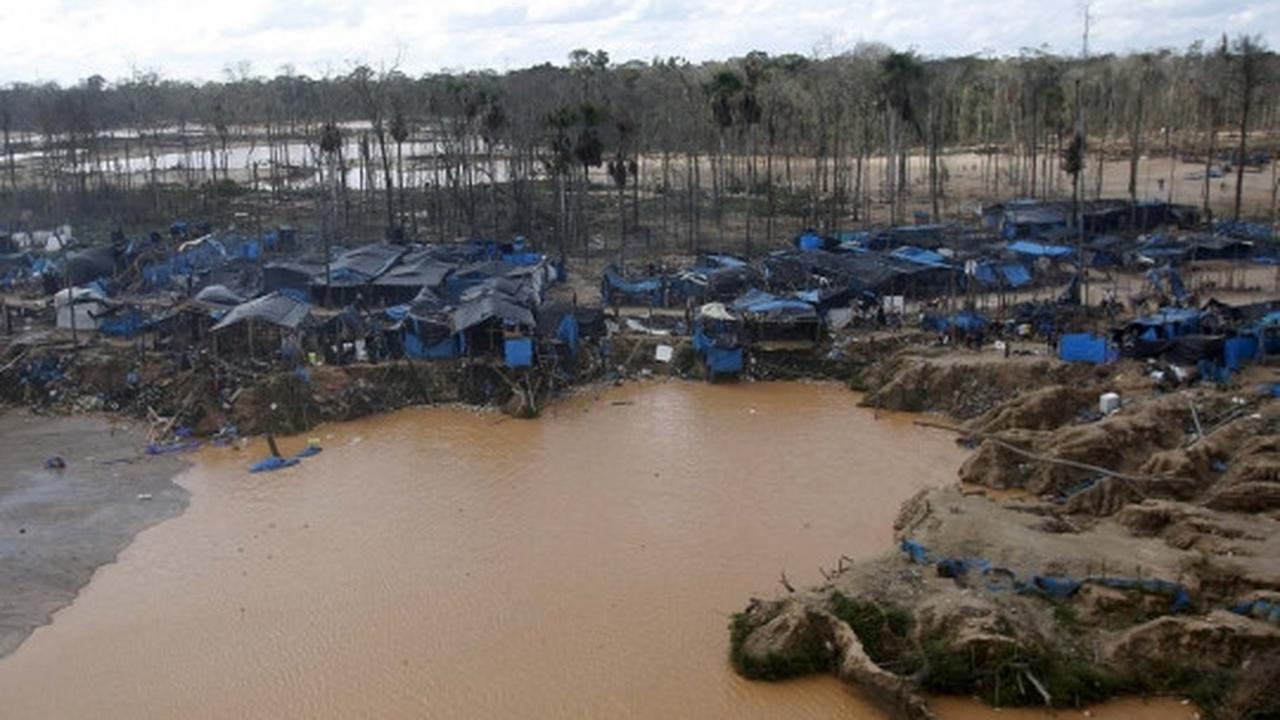 Begini kondisi hancur Hutan Amazon yang digerogoti tambang liar