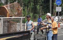 FOTO: Pasar Hewan Barito Rata dengan Tanah, Pedagang Direlokasi ke Lenteng Agung