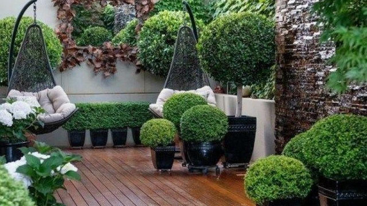 Ilustrasi Desain Taman Minimalis Modern