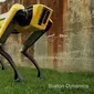 Robot anjing besutan Boston Dynamics yang bisa membuka pintu. Foto: Boston Dynamics