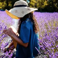 ilustrasi bunga/Photo by Frank Marino on Unsplash