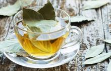Manfaat Tersembunyi Tanaman Herbal untuk Kolesterol, Rahasia Alami Menurunkan Kadar Tinggi