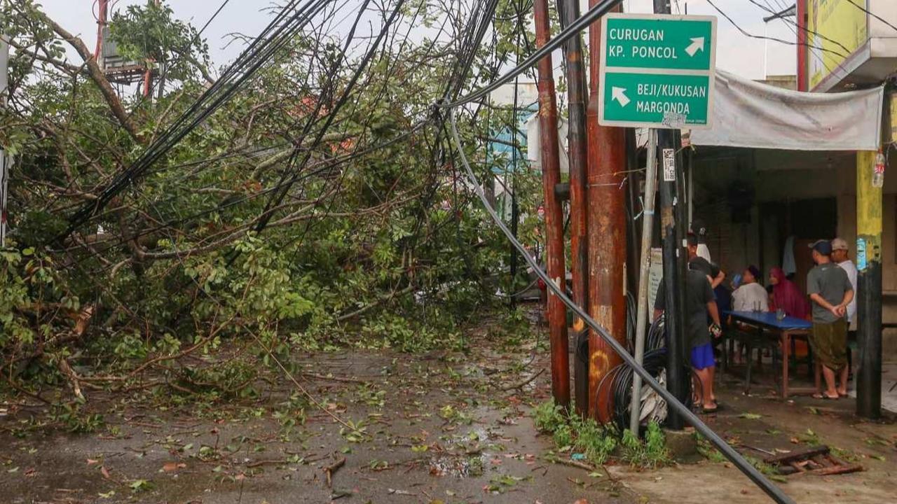 Pohon tumbang di Depok