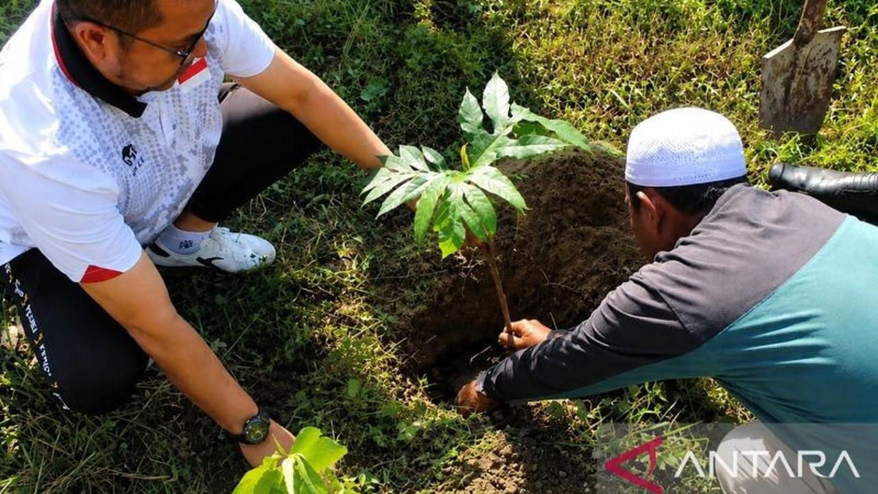 Pemkab Buru Selatan dan TNI Kolaborasi Tanam Sukun Perkuat Ketahanan Pangan Daerah