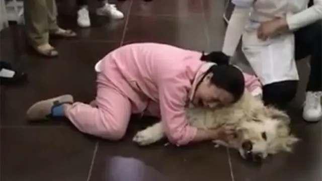 Pilu, Anjing Peliharaan Wanita Ini Mati Diracun Tetangganya Sendiri