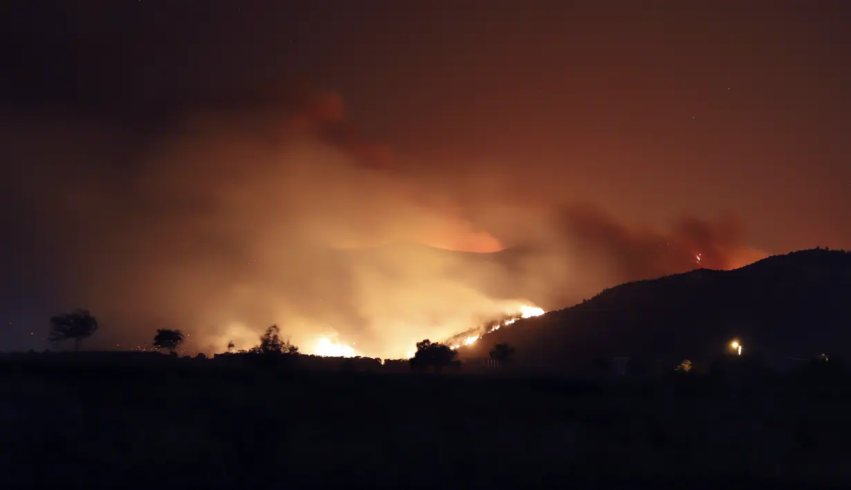 Api menerangi langit malam setelah kebakaran hutan mencapai Pembangkit Listrik Kemerkoy di Milas, di barat daya Turki, Rabu (4/8/2021) malam. Api kini mengancam kota Antalya, Bodrum dan Marmaris. (AP Photo/Cem Tekkesoglu)