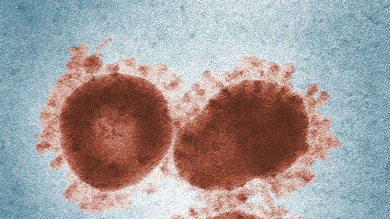 Selain itu, virus ini juga ditemukan di Bangladesh pada 2001. Wabah ini hampir setiap tahun terjadi di negara tersebut sejak saat itu.