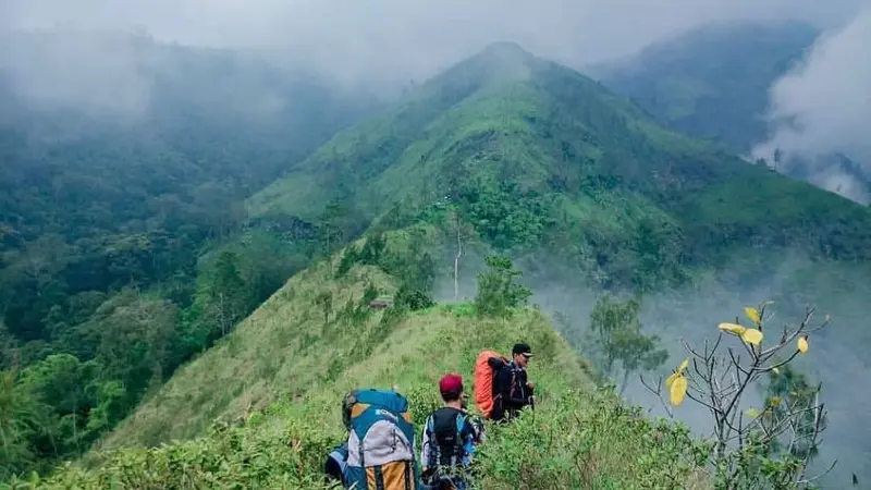 Gunung Wilis pernah dilalui oleh Jenderal Sudirman, sebelum melakukan Serangan Umum 1 Maret 1949 ke Yogyakarta