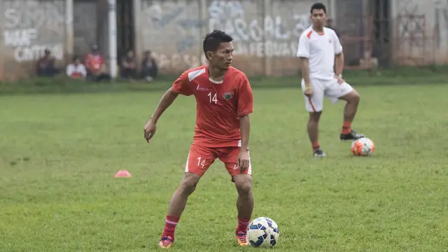 Ismed Sofyan