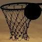 Ilustrasi Bola Basket (ibnlive.in.com)