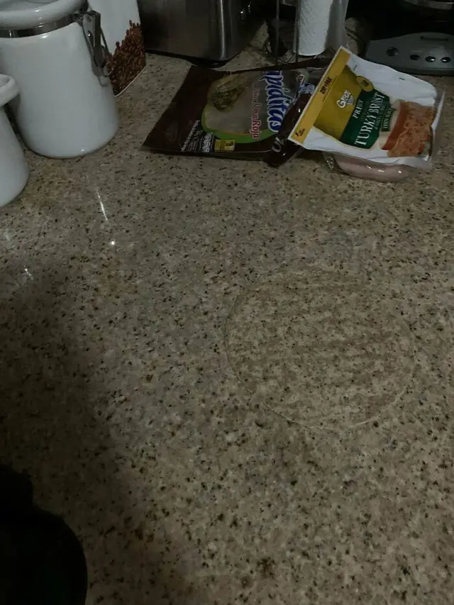 Potret Kamuflase Alami yang Tak Sengaja Terjadi, Bikin Bingung. (Sumber: Boredpanda)
