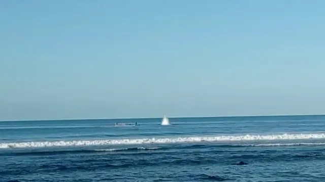 Sebuah kapal kayu melakukan pengeboman ikan di pantai selatan pulau Flores , khususnya di wilayah desa Sikka, kecamatan Lela, kabupaten Sikka. (Liputan6.com/ Dionisius Wilibardus)