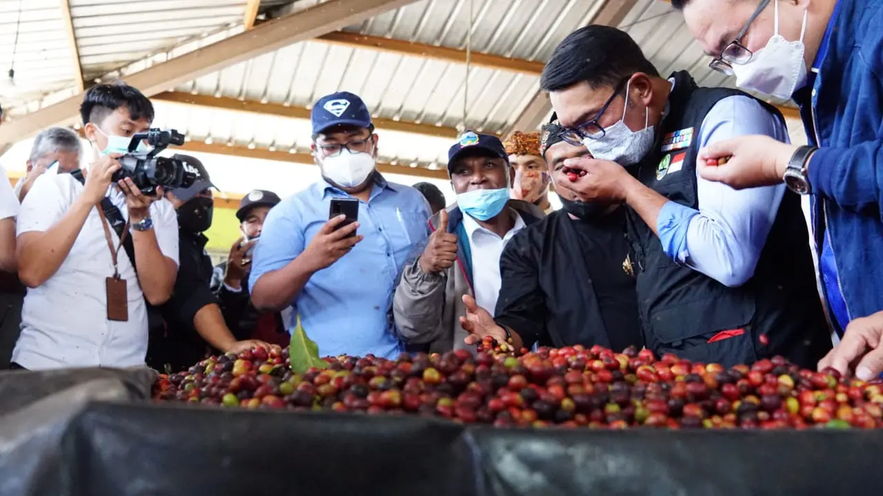Gubernur Jawa Barat Ridwan Kamil bersama Rektor IPB Arif Satria mencoba mencium kopi ekspor asal Garut, di salah satu sentra koperasi kopi Garut.